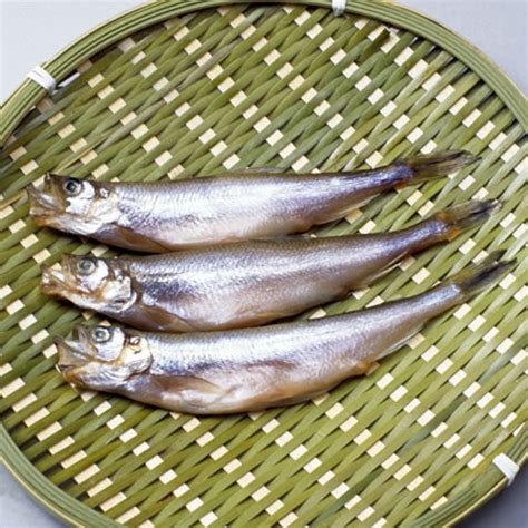 種葉魚|柳葉魚(シシャモ)とは？ 意味や使い方